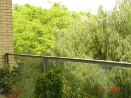 Arbres S.S.