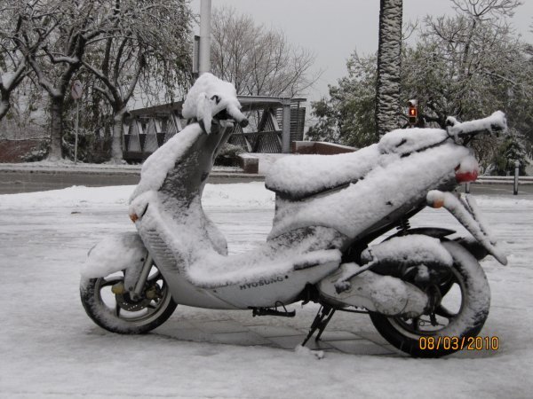 Nevada 2010