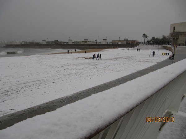 Nevada 2010